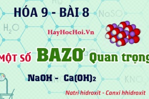 Một số Bazo quan trọng, tính chất hóa học của Natri Hidroxit NaOH, Canxi Hidroxit Ca(OH)2 - hóa 9 bài 8